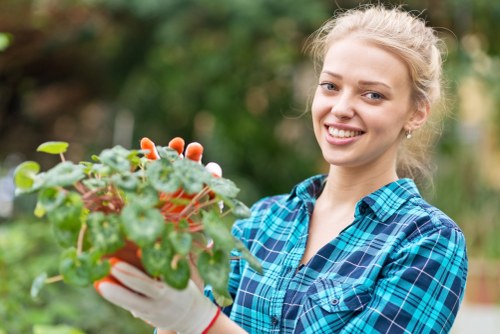 Professional tree lopping services in Mayfair