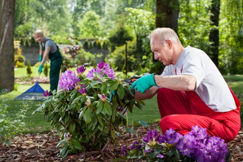 Professional gardening services working on a Mayfair garden