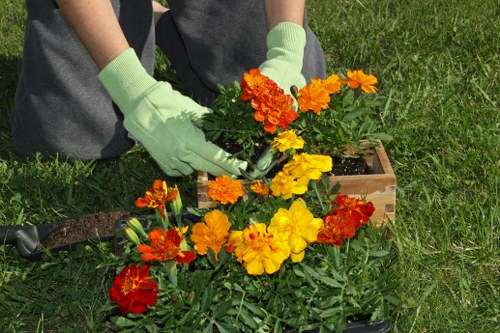 Seasonal plants thriving in Mayfair's climate