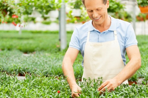 Professionally cleared garden in Mayfair