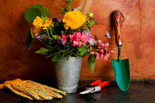 Happy homeowner with a tidy garden