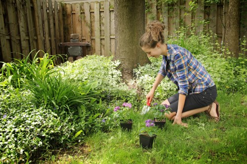 Selection of hedge trimming tools