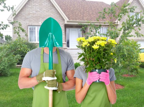 Shaped hedges enhancing garden aesthetics