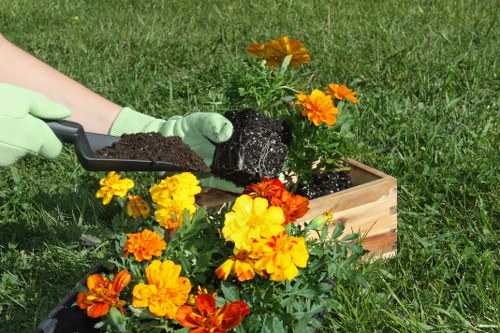 Sustainable Mayfair garden showcasing native plants and eco-friendly practices