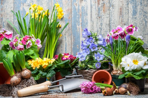 Seasonal garden clearance in progress